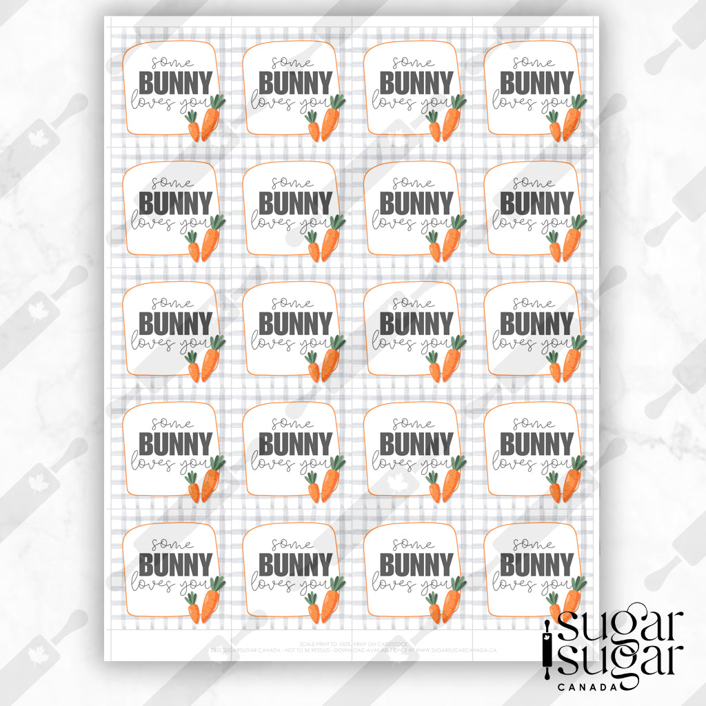 Grey Plaid Some Bunny Loves You Carrot Square Tag