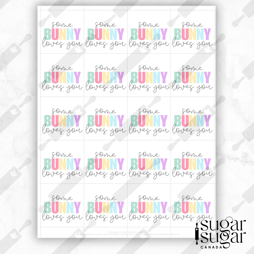 Somebunny Bright Square Tag