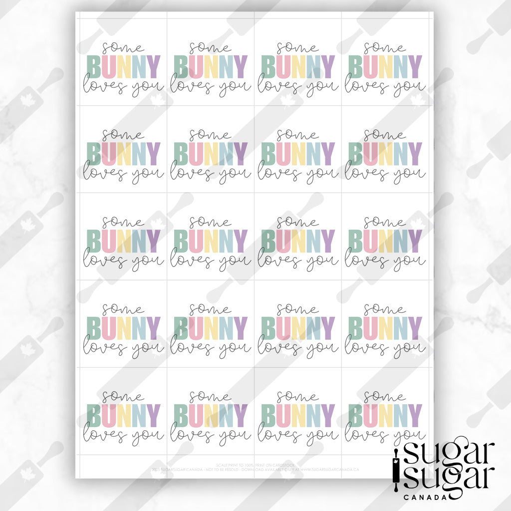 Somebunny Muted Square Tag