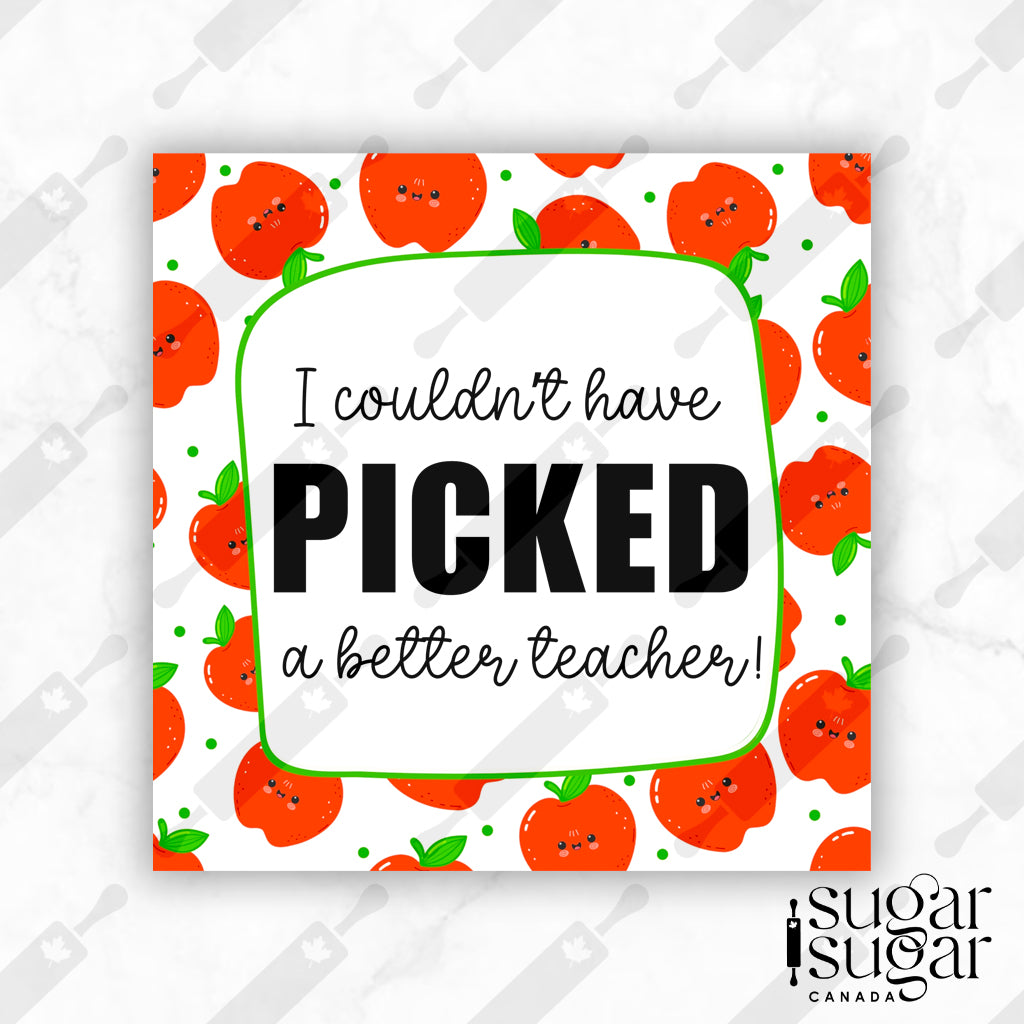 Couldn't Have Picked a Better Teacher Square Tag