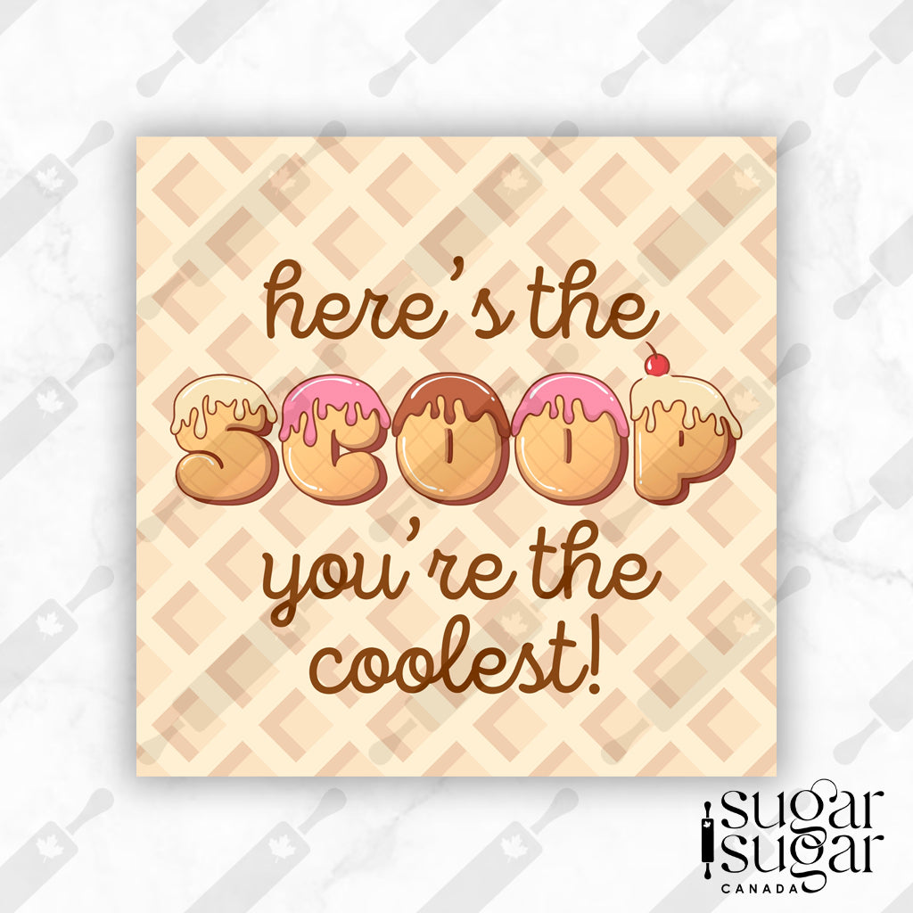 Here's the Scoop Cone English Square Tag