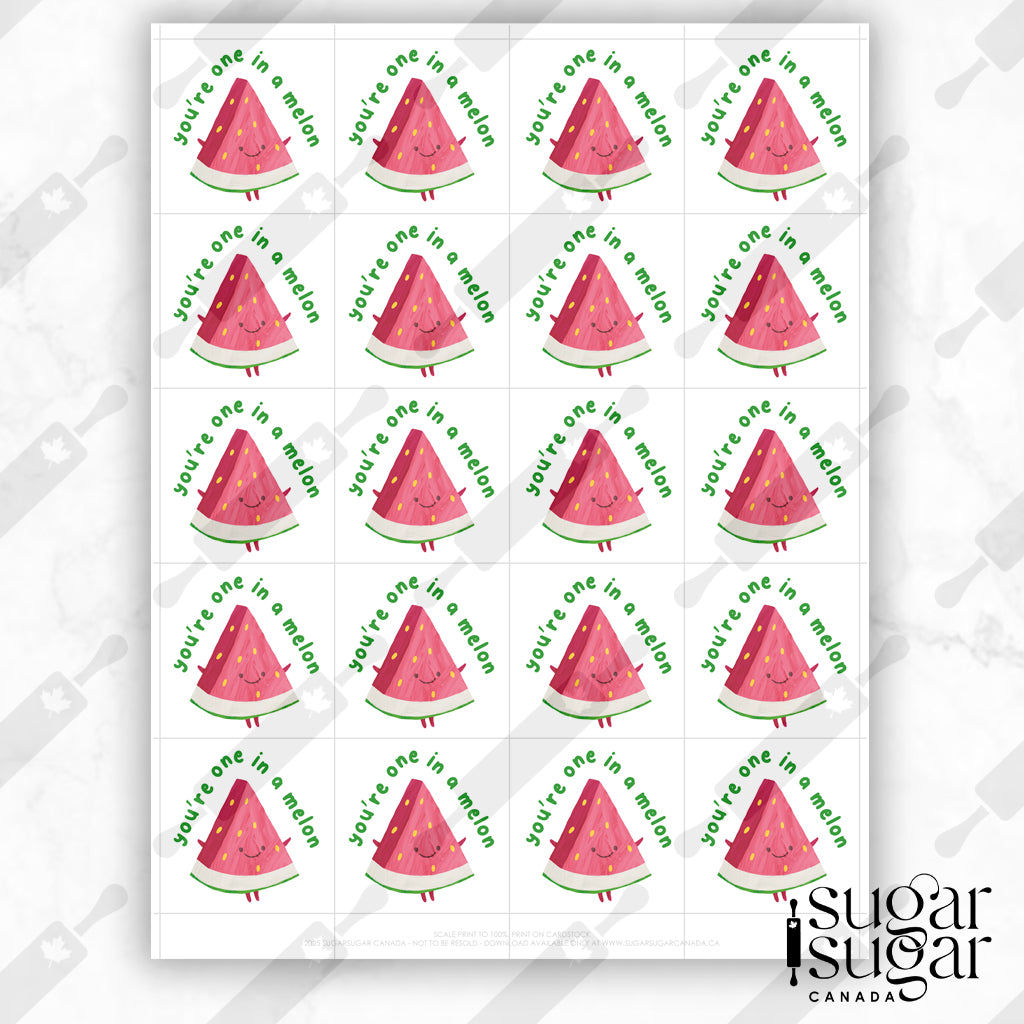 One In A Melon Square Tag