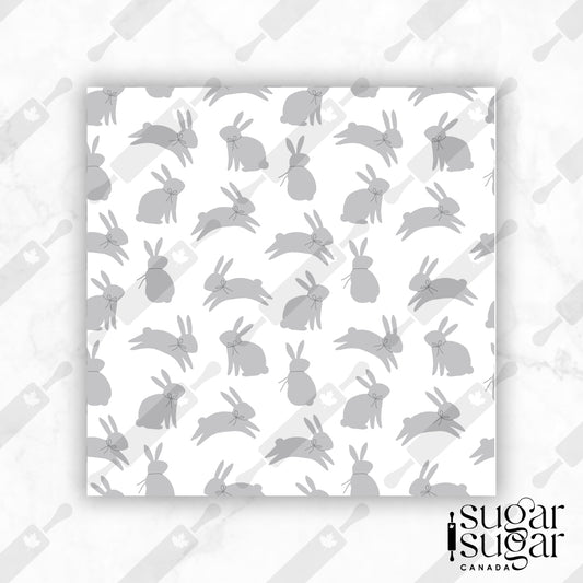 BW Grey Bunny Box Backer