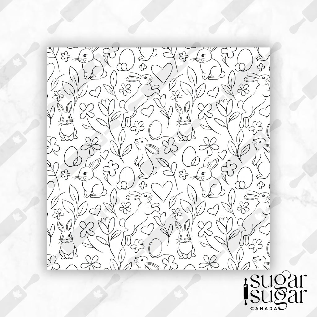BW Drawn Bunny Box Backer