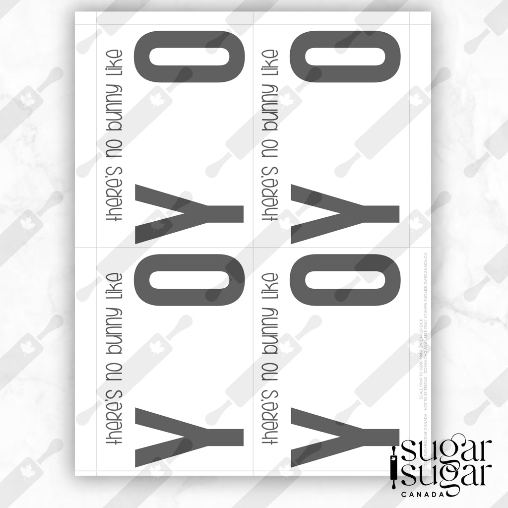 No Bunny Like You Mini Cookie Card