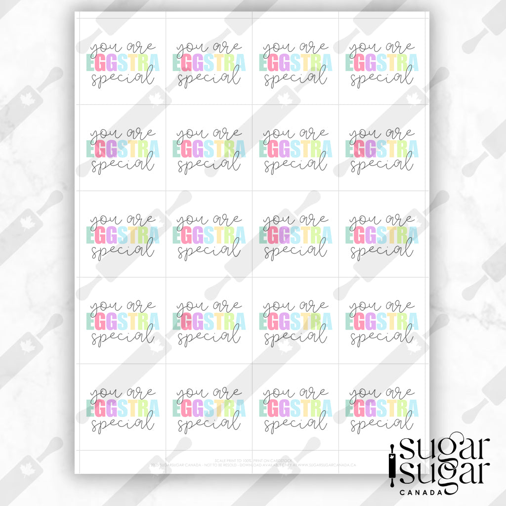 Eggstra Special Bright Square Tag