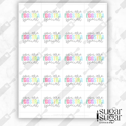 Eggstra Special Bright Square Tag