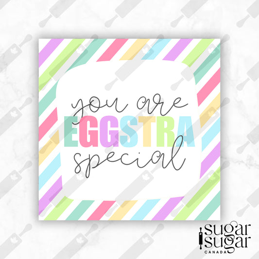 Eggstra Special Bright Stripe Square Tag
