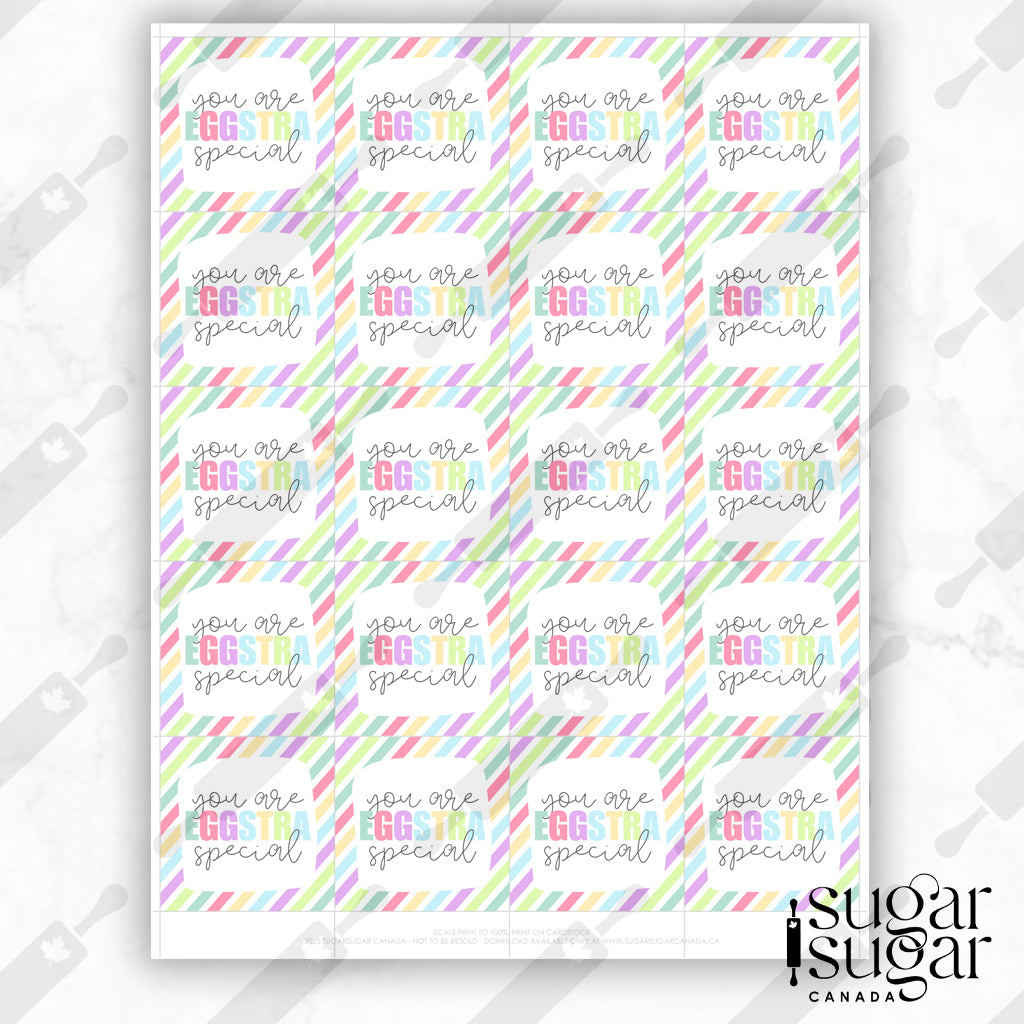 Eggstra Special Bright Stripe Square Tag