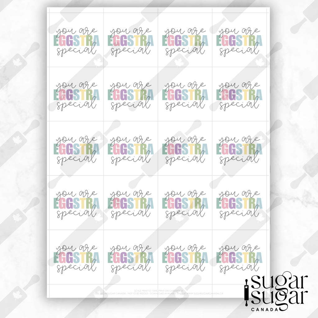 Eggstra Special Muted Square Tag