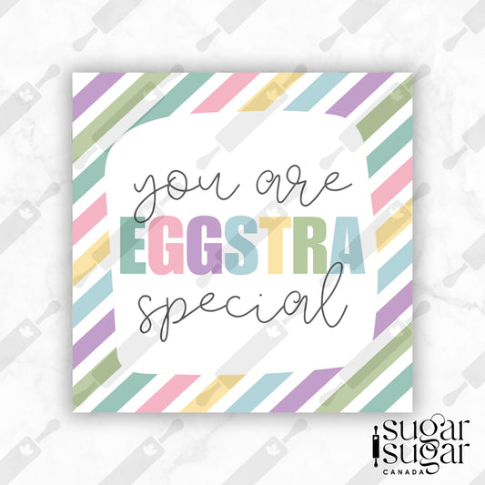 Eggstra Special Muted Stripe Square Tag