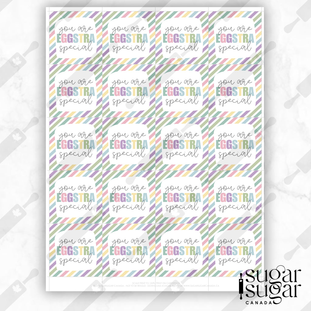 Eggstra Special Muted Stripe Square Tag