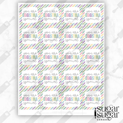 Eggstra Special Muted Stripe Square Tag