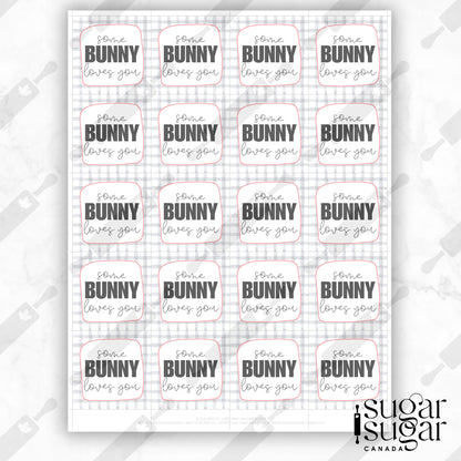 Grey Plaid Some Bunny Loves You Square Tag