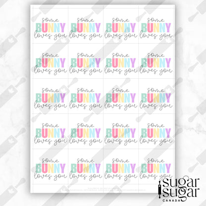 Somebunny Bright Square Tag