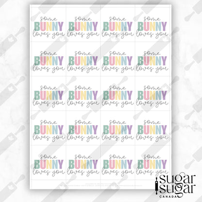 Somebunny Muted Square Tag