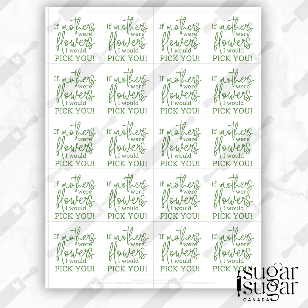 I'd Pick You Mother's Day Square Tag