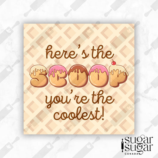 Here's the Scoop Cone English Square Tag