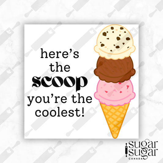Here's the Scoop Ice Cream English Square Tag