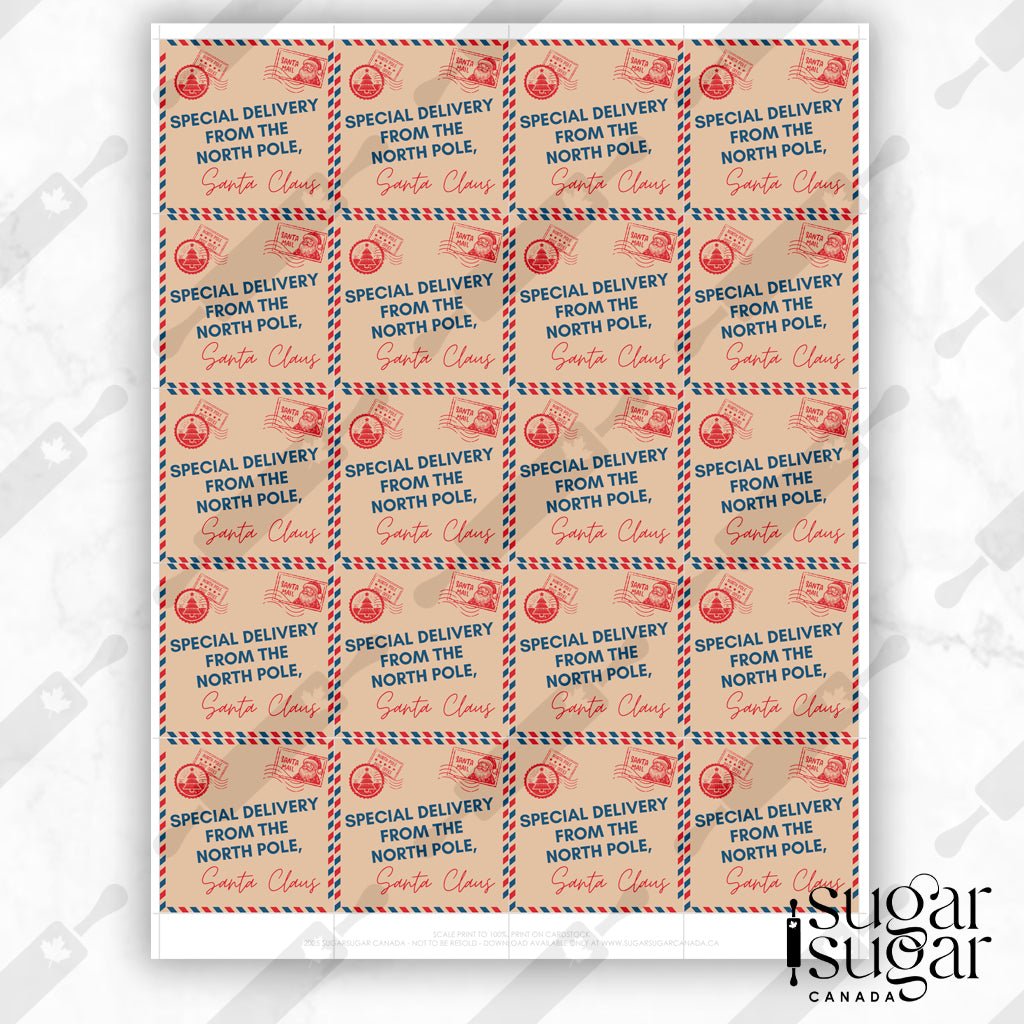 Special Delivery Mail Square Tag
