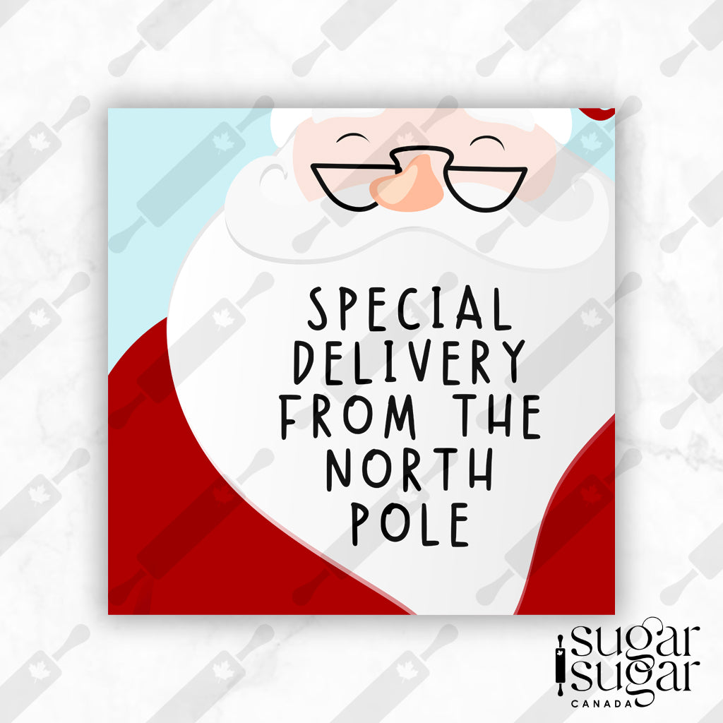 Santa Special Delivery Square Tag