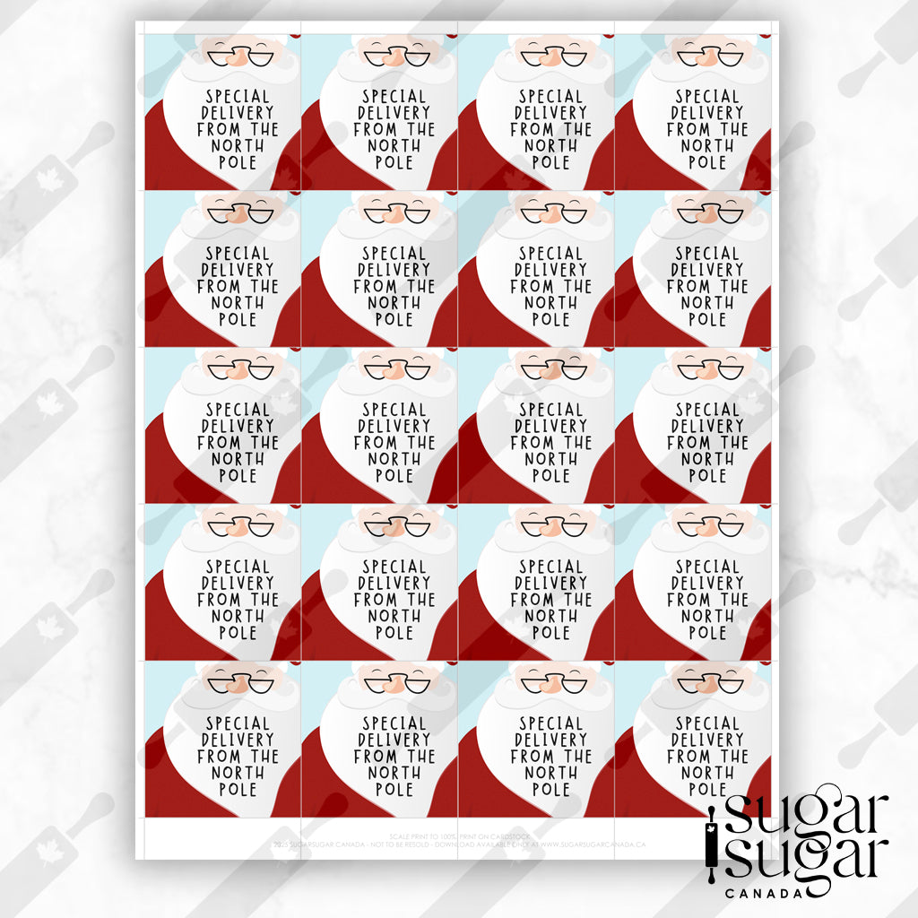 Santa Special Delivery Square Tag